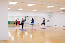 Dancers in the Manawatū gym dojo and dance studio