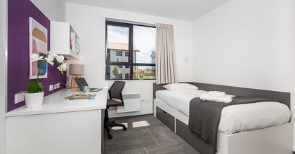Single bedroom in Massey Halls, Albany Campus, with a bed, study desk and chair