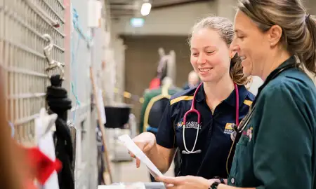 Two veterinary professionals looking over a report