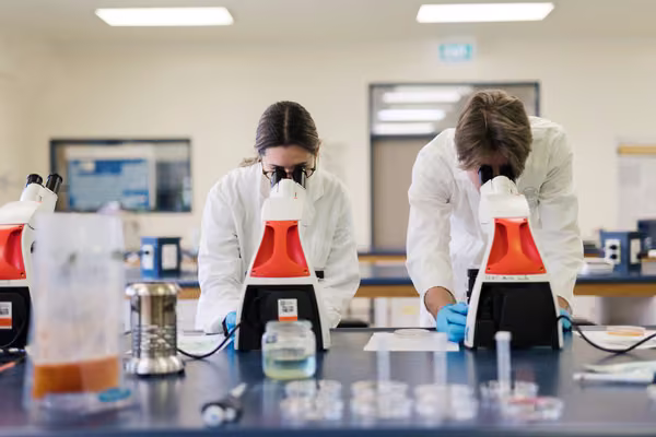 Two students looking through microscopes in a food technology lab