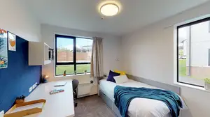 Pūkeko, Tui and Weka halls' single bedroom with bed, desk and chair