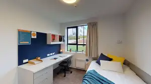 Pūkeko, Tui and Weka halls' single bedroom with bed, desk and chair