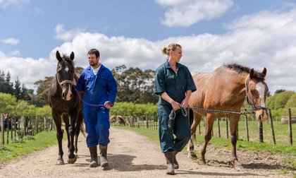 What the Equestrian Centre offers - Massey University