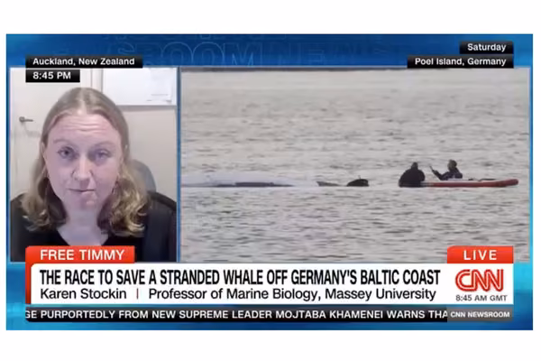 Professor Karen Stockin on CNN, discussing the efforts to save 'Timmy'.