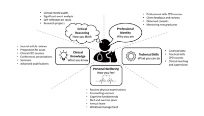The five CPD criteria as presented in the VCNZ information for vets