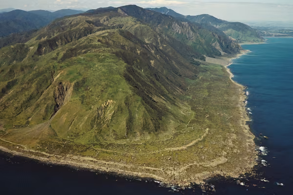 Aerial view of Cape Turakirae