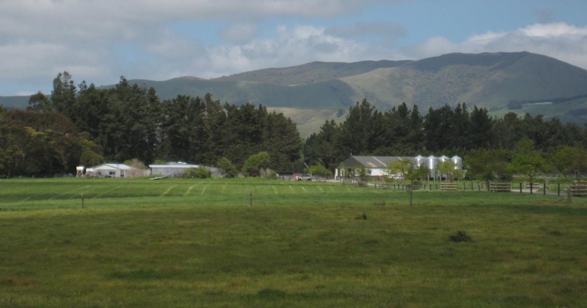 Dairy 4 Massey farm Massey University