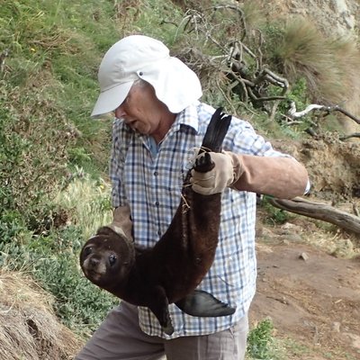  Diana Galbraith's photo