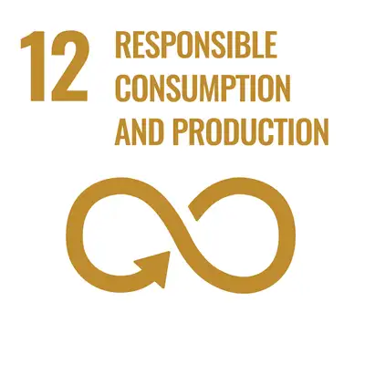 Goal 12 – Responsible Consumption and Production