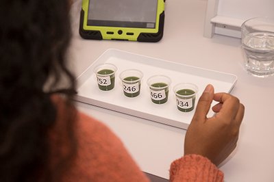Small containers with green liquid for taste testing
