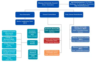 Council is made up of VC, Council Committees and Fully owned subsidiaries.