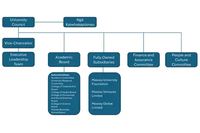 Massey University governance structure