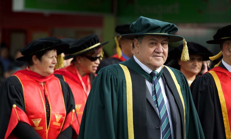 Close-up of Distinguished Professor Graham Hingangaroa Smith