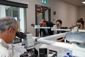 People looking through microscopes