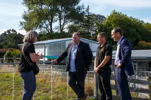 People standing in a paddock talking