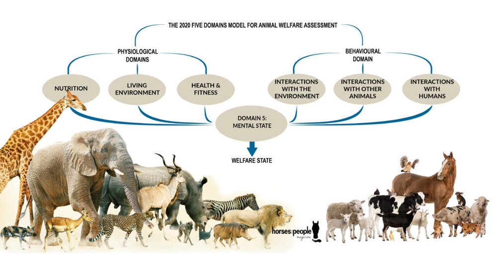 Animal Welfare Science & Bioethics Centre