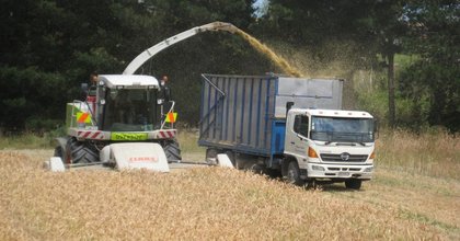 Grain harvester and truck