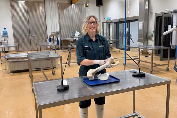 woman standing in protective overalls holding a large animal femur bone