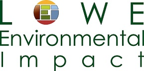 Lowe Environmental Impact (LEI) logo