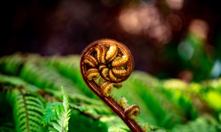 The Ministry of Business, Innovation and Employment has awarded three Massey University research projects nearly $640,000 from the Te Pūnaha Hihiko: Vision Mātauranga Capability Fund.