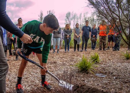Young boy planting a tree at a ceremony celebrating Matariki