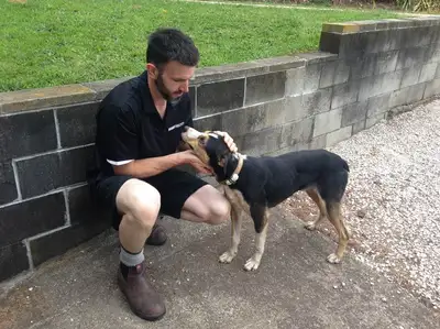 A man crouching down to pat a dog