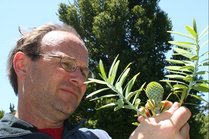 Professor Peter Lockhart