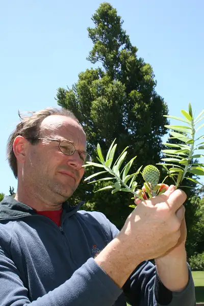 Professor Peter Lockhart's photo