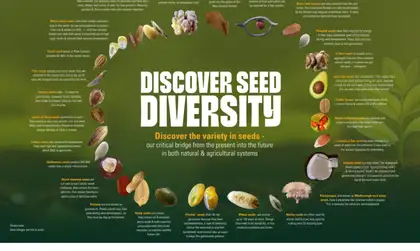 Seed Diversity Poster for Secondary Schools