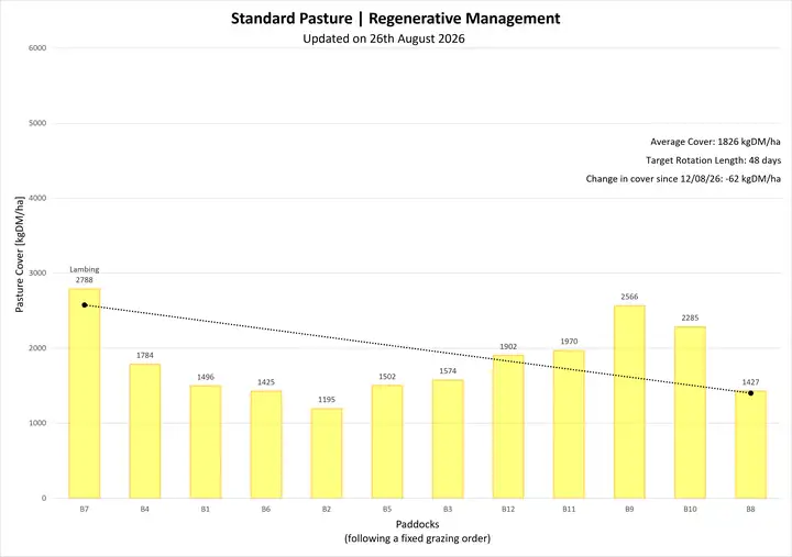 Pasture cover graph for PCRU Farmlet B, showing standard pasture under contemporary management, updated 26 August 2026.