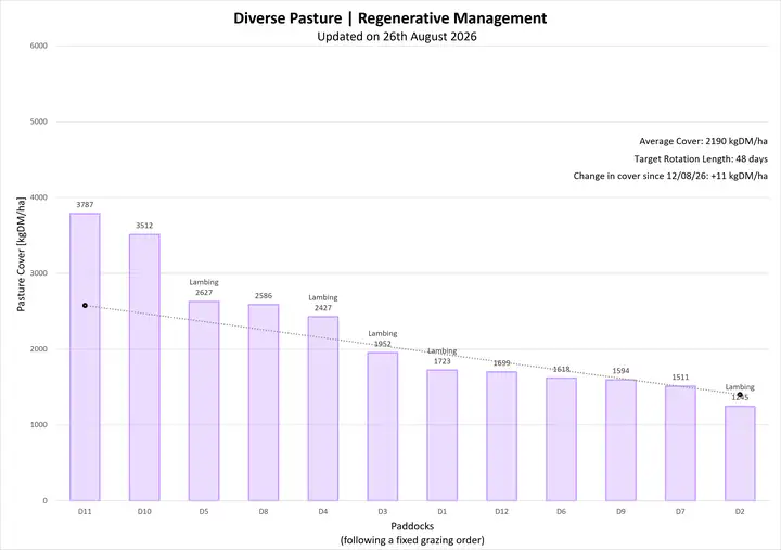 Pasture cover graph for PCRU Farmlet D, showing standard pasture under contemporary management, updated 26 August 2026.