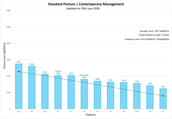 Bar graph showing pasture covers (kgDM/ha) against paddocks for Standard Pasture | Contemporary Management. Data is also available in the table under Farmlet Data.