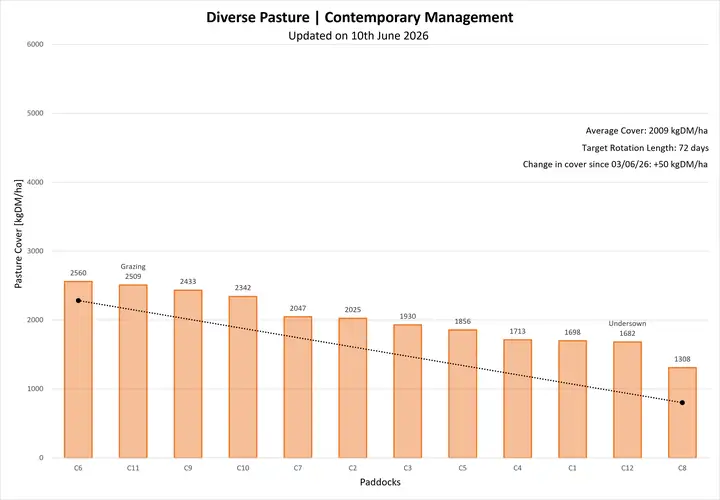 Bar graph showing pasture covers (kgDM/ha) against paddocks for Diverse Pasture | Contemporary Management. Data is also available in the table under Farmlet Data.