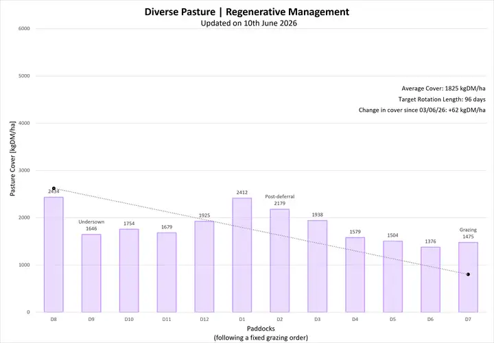 Bar graph showing pasture covers (kgDM/ha) against paddocks for Diverse Pasture | Regenerative Management. Data is also available in the table under Farmlet Data.
