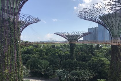Singapore's Gardens by the Bay.