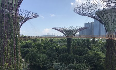 Singapore's Gardens by the Bay.