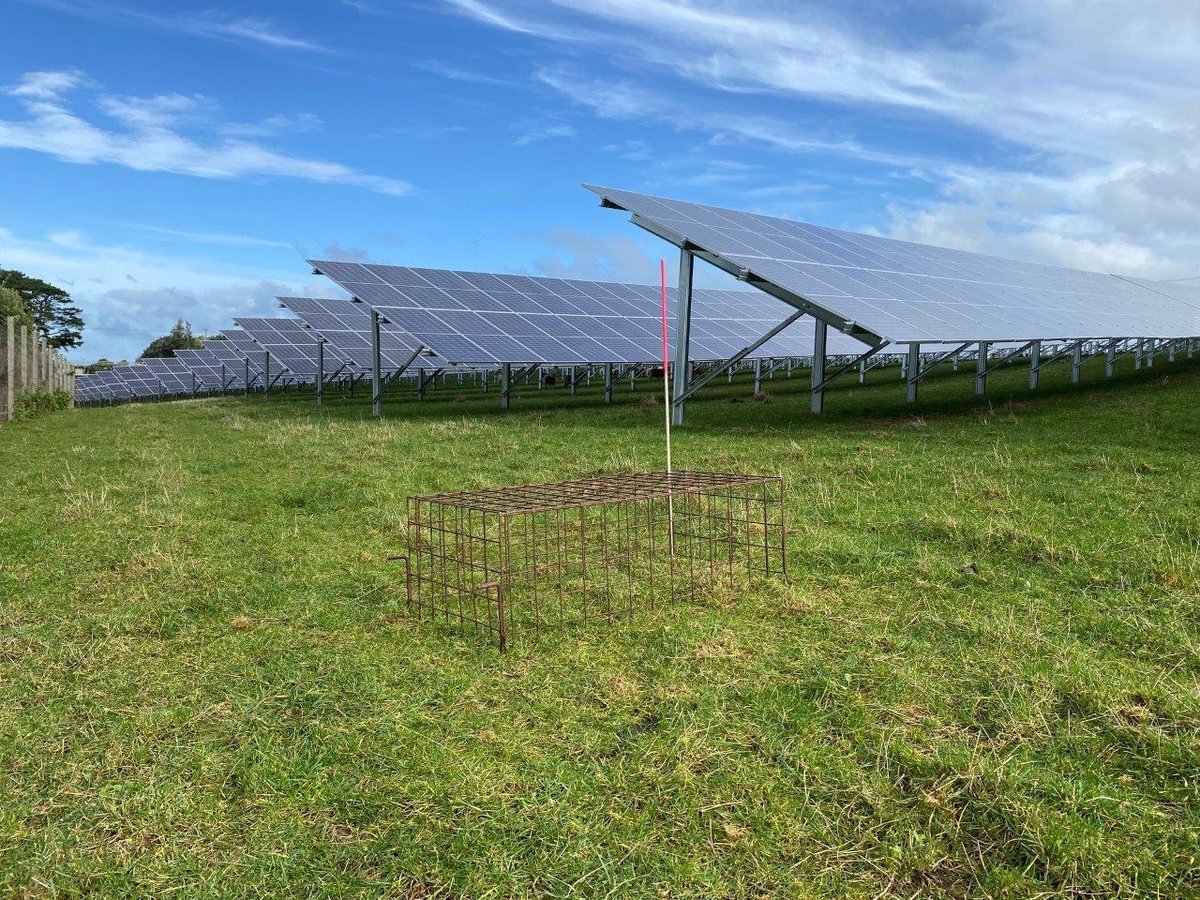 Early research could inform future design of farm-based solar panels - Vimarsana News