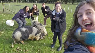 Five people feeding office food scraps to two kune kune pigs as part of their waste reduction efforts during the 2024 Green Impact program.