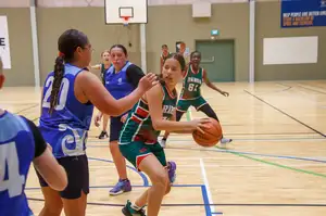 girls playing netball