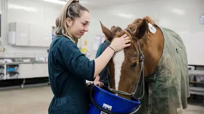 Person in overalls feeding a horse