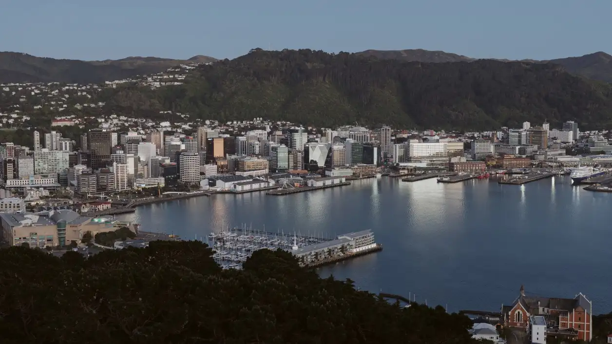 View of Wellington city from hills