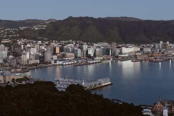 View of Wellington city from hills