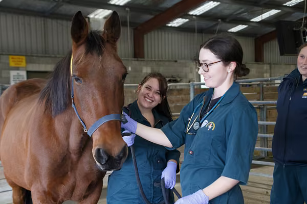 Two veterinary students stand with a horse smiling
