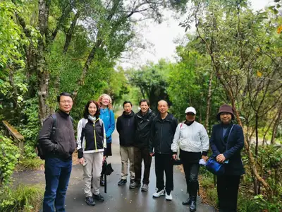 Massey and CASS academics standing among the trees while visiting Zealandia Te Māra a Tāne