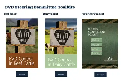 Online BVD toolkits for farmers and vets.