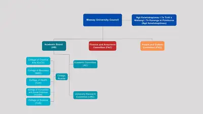 The Massey University Council is made up of Finance Assurance Committee, People and Culture Committee, and Academic Board. Academic Board is made up of Academic Committee and University Research Committee. These committees are made up of college boards.