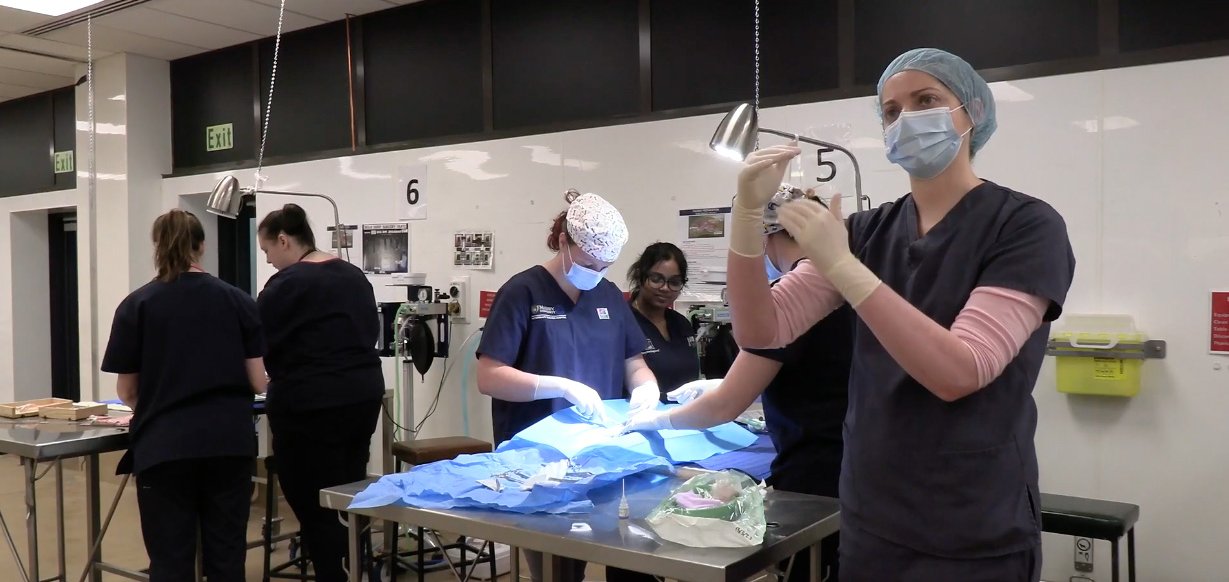 Evidencebased veterinary medicine made easy