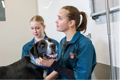 two girls handling smiling dog