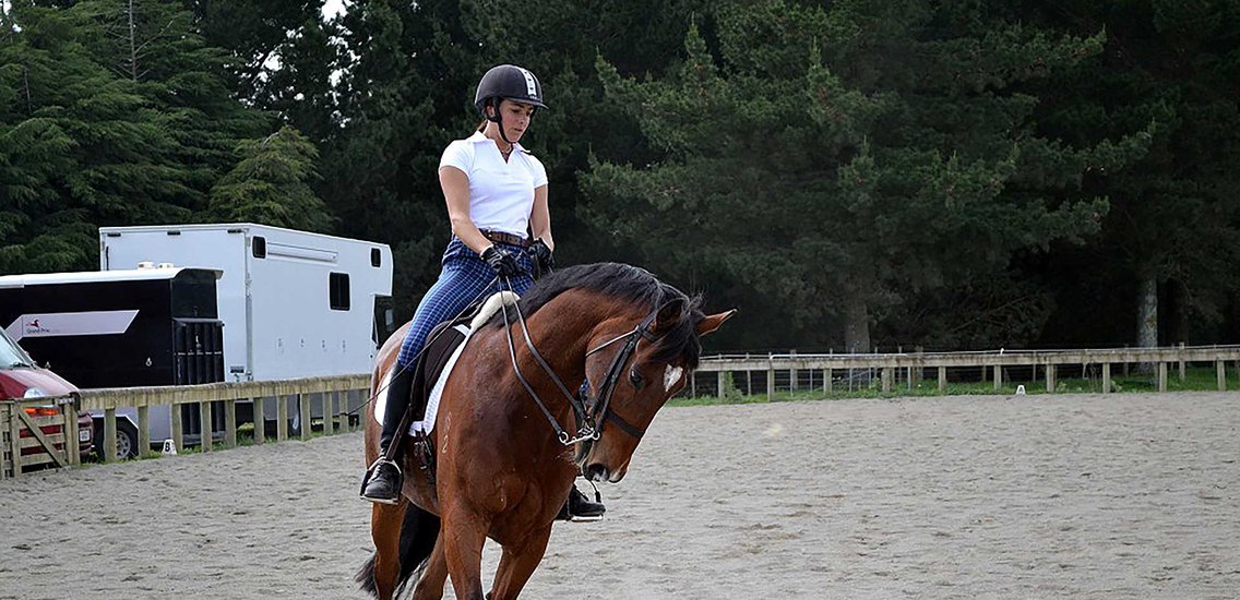 Equestrian Arena in Palmerston North