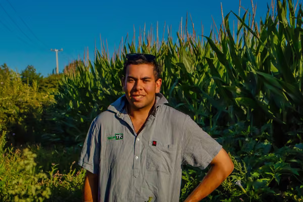 Man in collared shirt standing in front of a field of corn